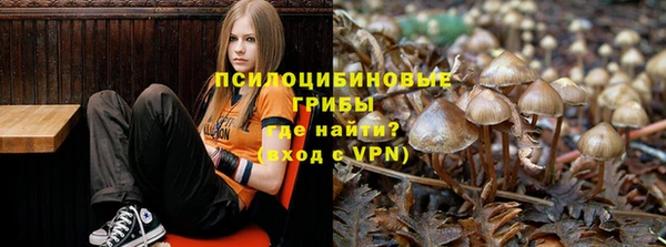 дмт Алексеевка