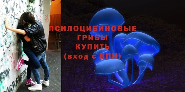 прущий лед Алексин